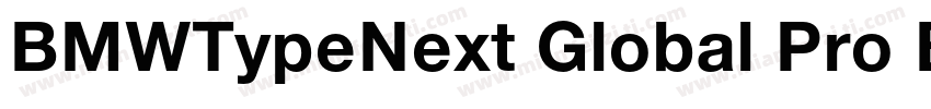 BMWTypeNext Global Pro Bold字体转换